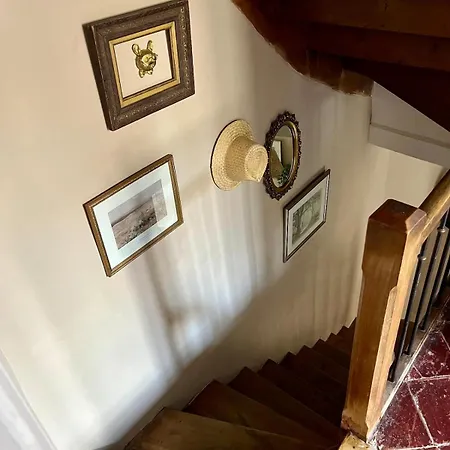 The Artist's House Vila